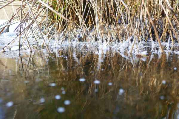 Gefrorener Bach mit Schneekristallen