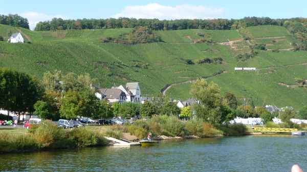 Mosel Weinberge