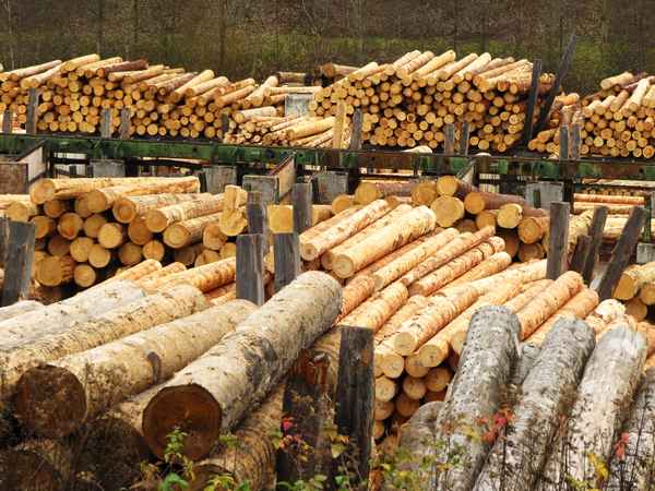 Rohstoff Holz - im Sägewerk_2