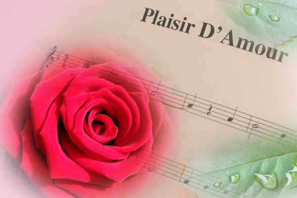 Plaisir d`amour