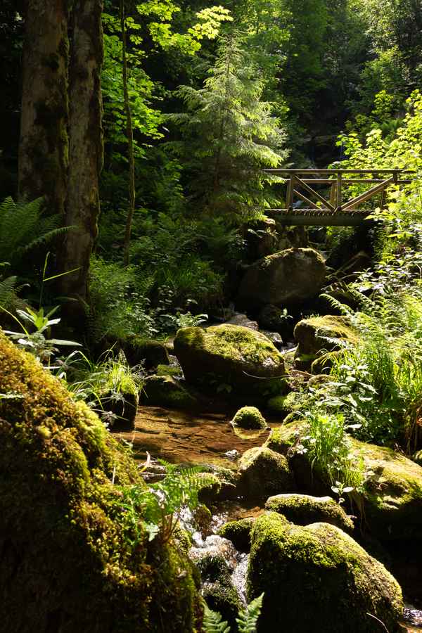 Naturpark Schwarzwald Mitte/Nord....