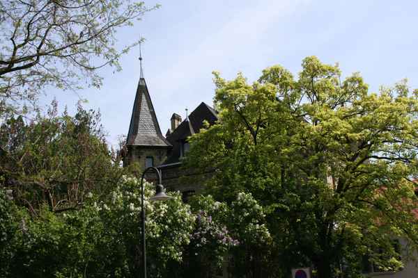 Mittelalter in Oppenheim