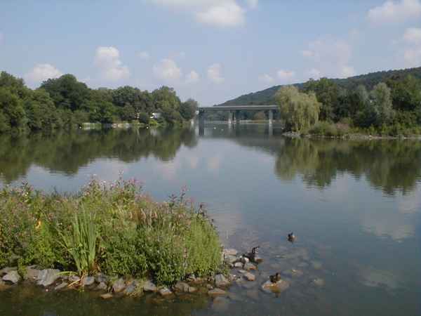 Seen