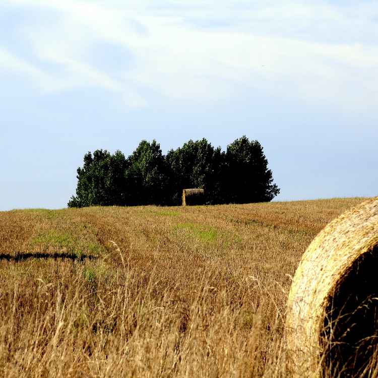 Natur 3