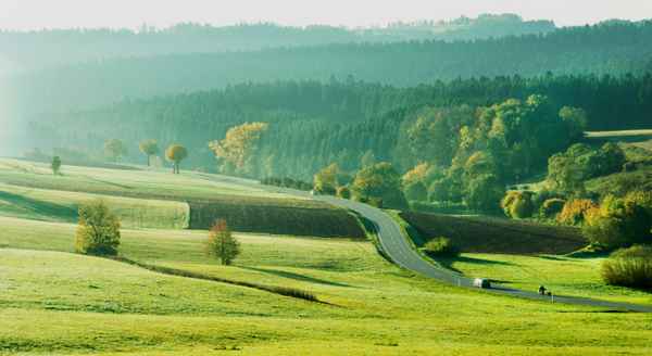 Landstraße am Herbstmorgen