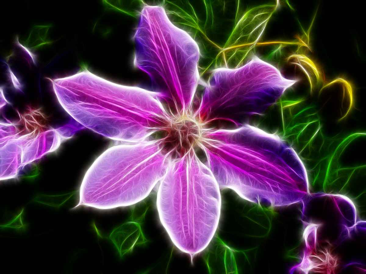 Flowerpower
