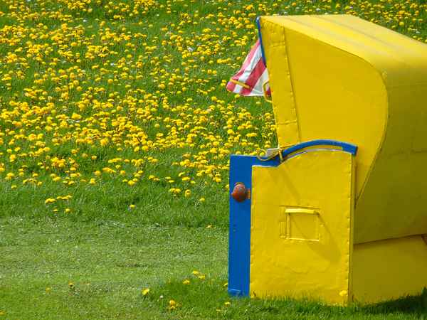 Yellow .....
