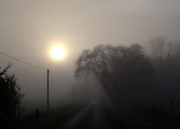 die sonne kämpft sich durch