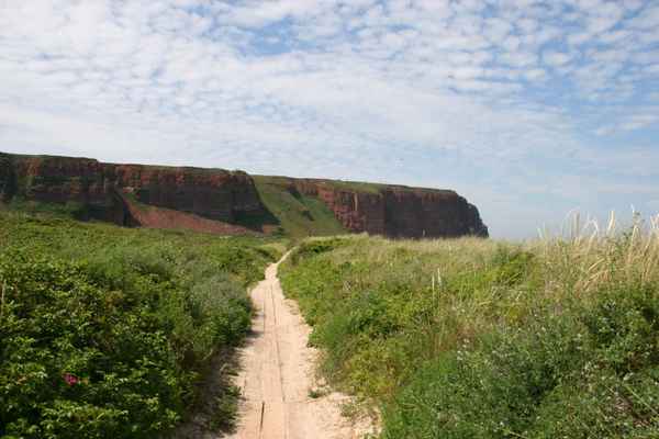 Steilklippe von Helgoland