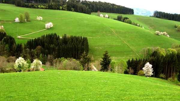 Frühlingserwachen im Südschwarzwald