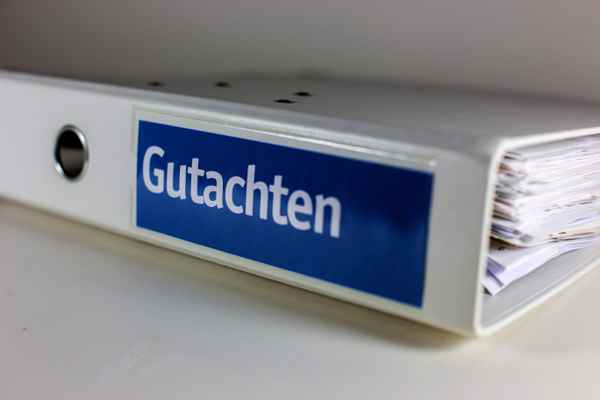 Ordner Gutachten