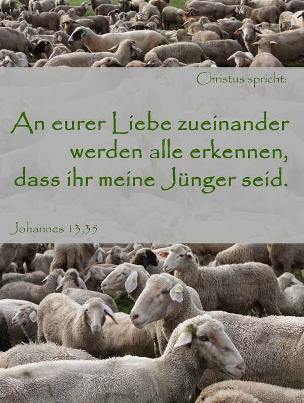 An eurer Liebe zueinander