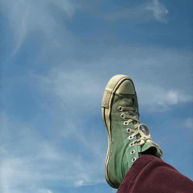 Grün. Lila. Himmelblau.