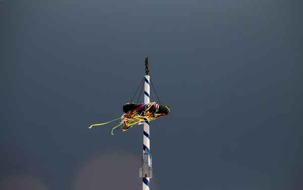 Maibaum im Maiwind