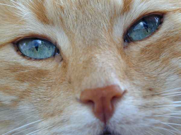 Augen blick