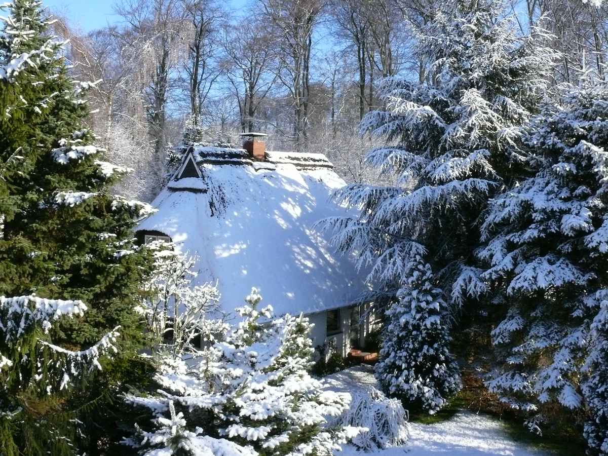 Ein kleiner Vorgeschmack auf den Winter -1-