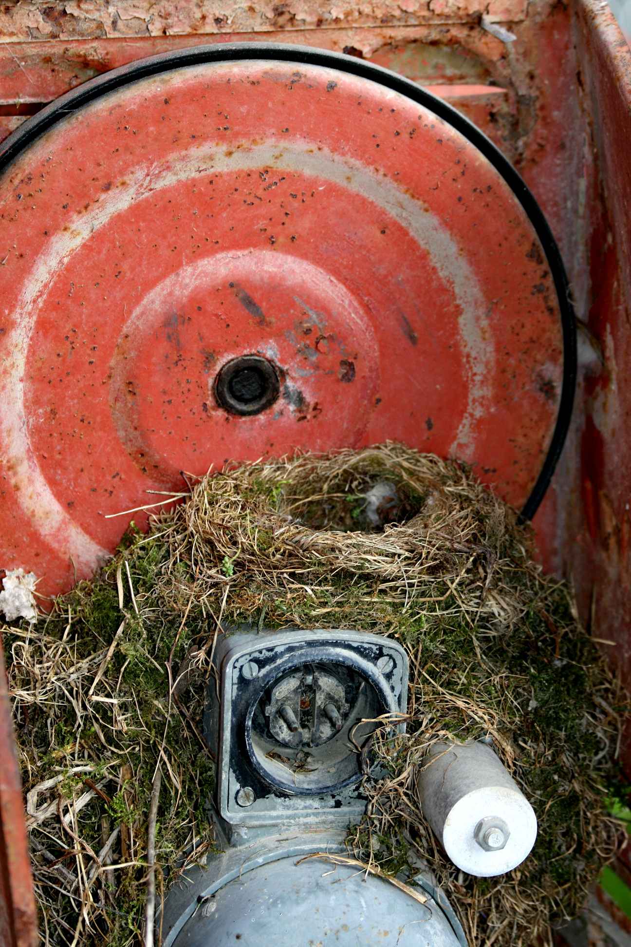  Natur und Technik