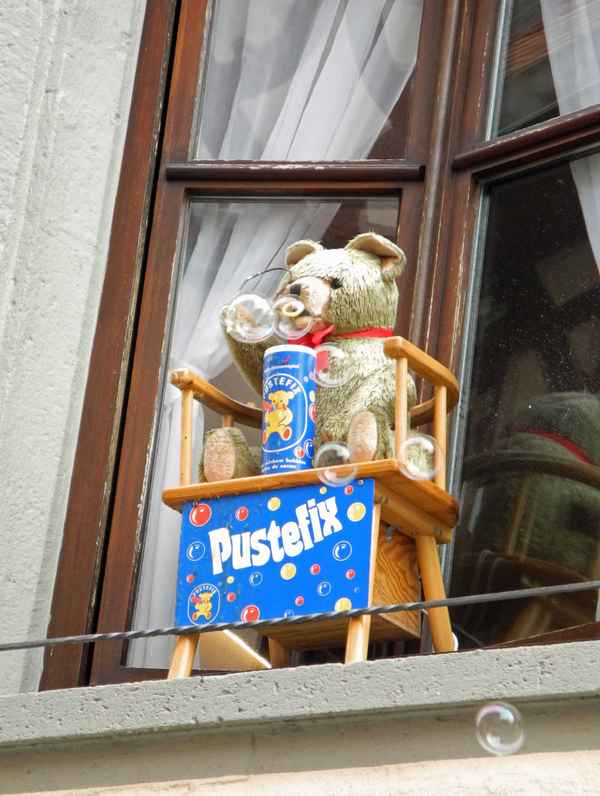 Teddy (3)