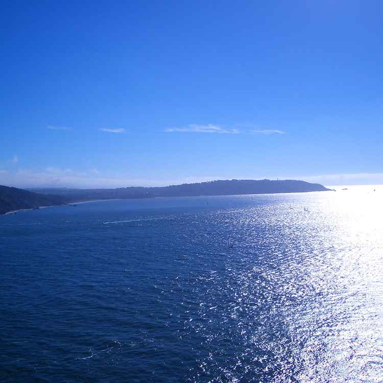 Golden Gate and Pacific Ocean