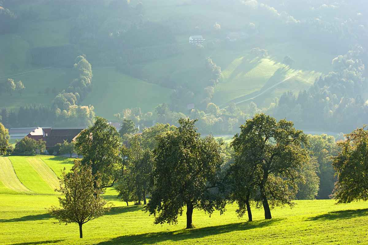 Herbstlich