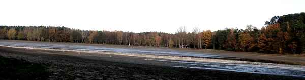 Dechsendorfer Weiher im November 2008
