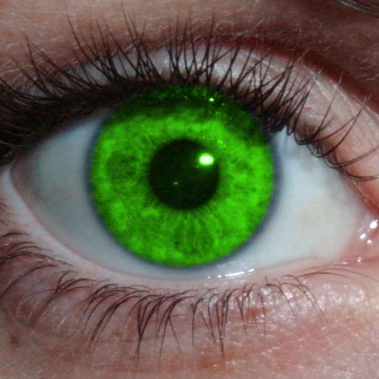 1Green Eye