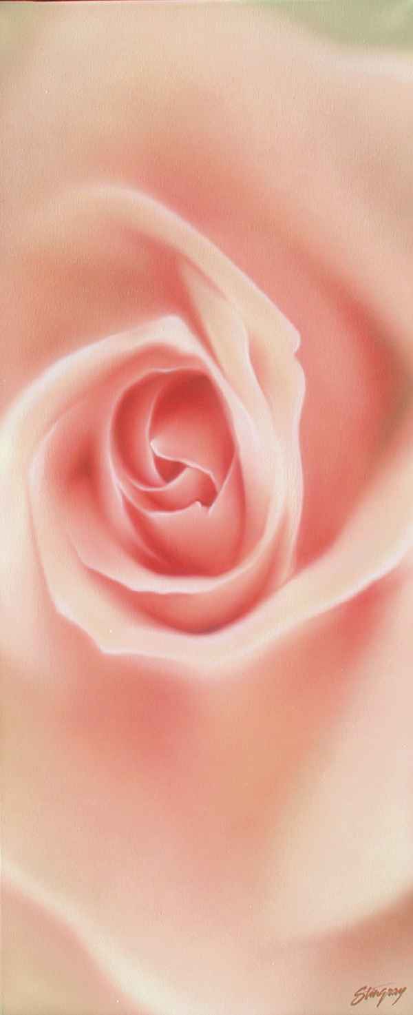 Rosa Rose