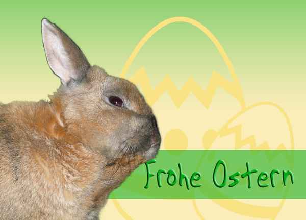 Frohe Ostern