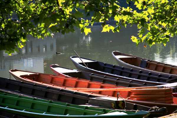 Neckarkähne am Morgen