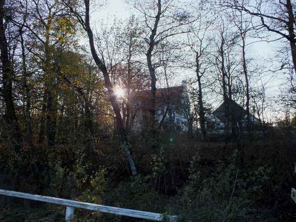 Gut Hoyerswort