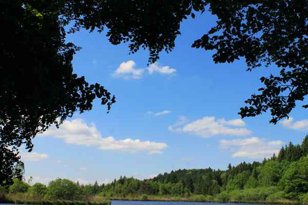 Naturschutzgebiet am Deininger Weiher