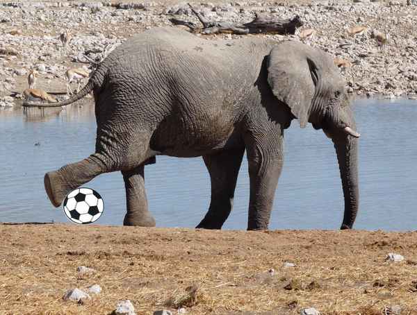 Fußball auf afrikanisch