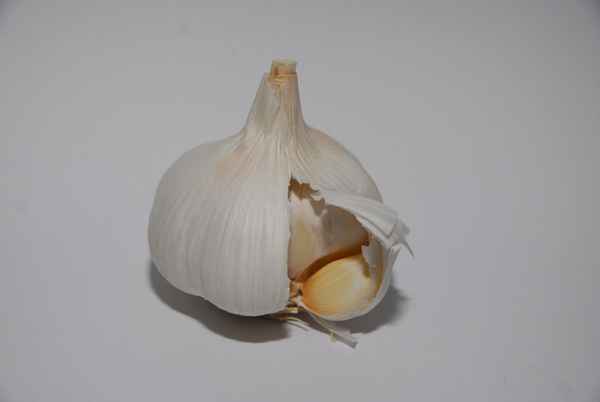 Knoblauch