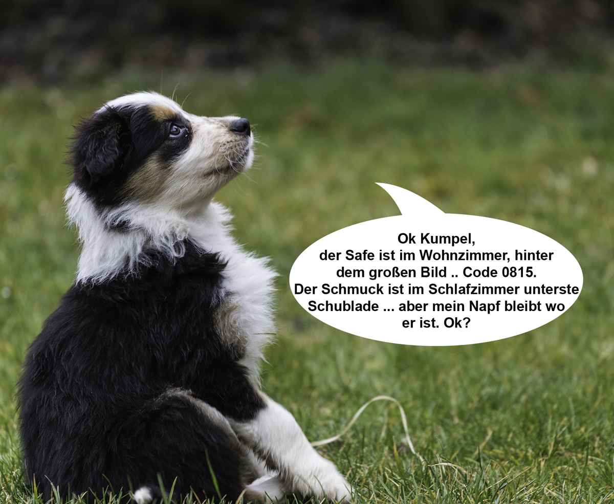 Hier wache ich