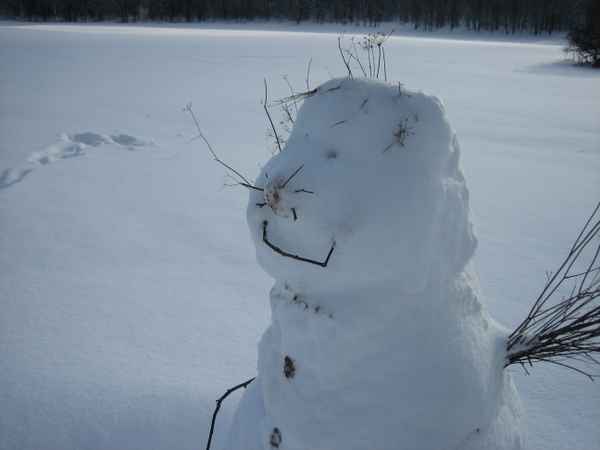 Schnee-Katze