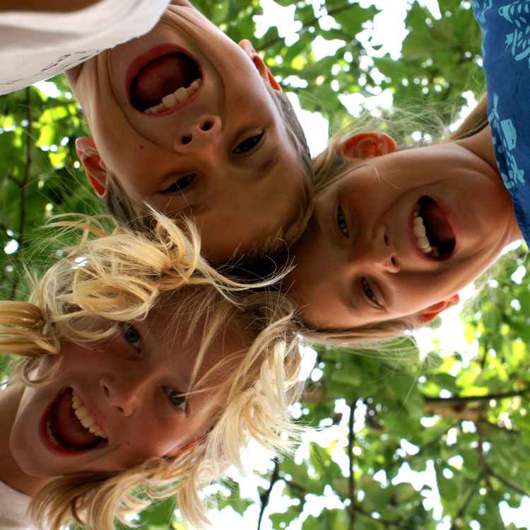 Die Drei - schrei so laut du kannst!