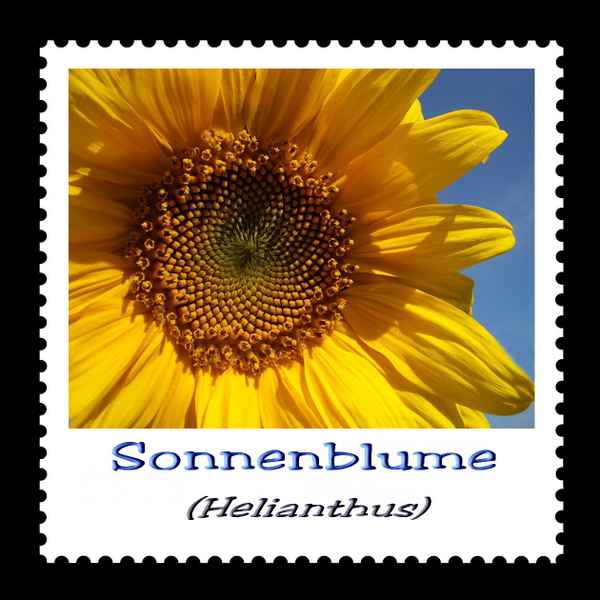 Briefmarke