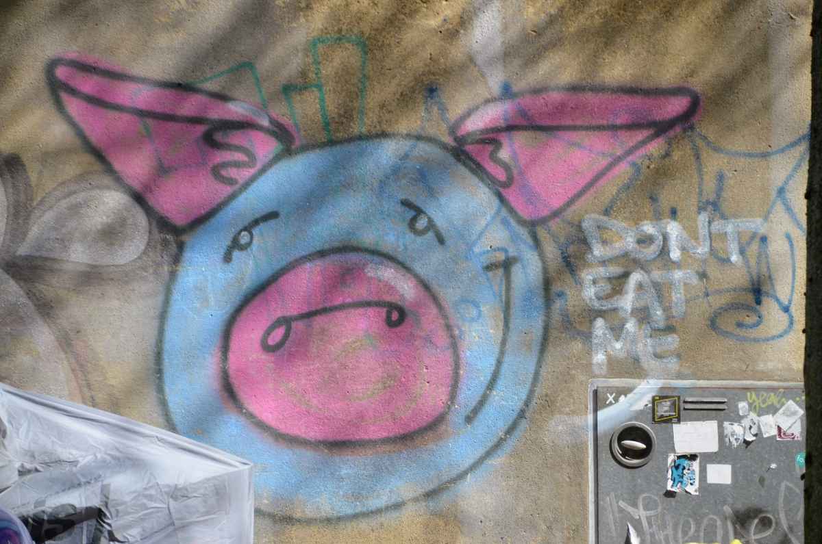 Gegen Schweinefleisch-Verzehr