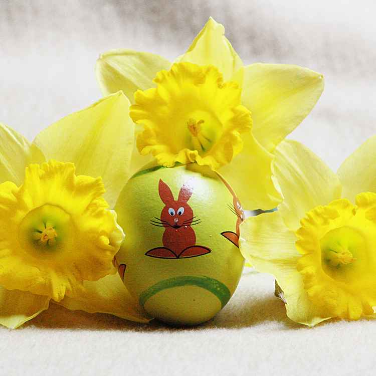 Frohe Ostern