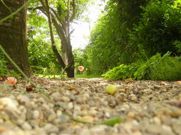 Kiesweg mit Blick auf Rasen
