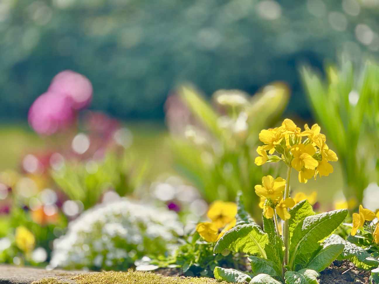 Frühling in Sicht