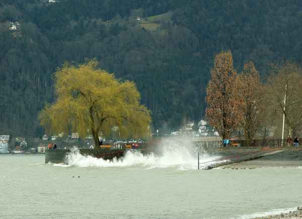 stormy weather