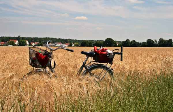 abseits des weges....