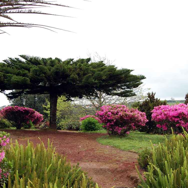 Miradouro da Ponta do Sossego