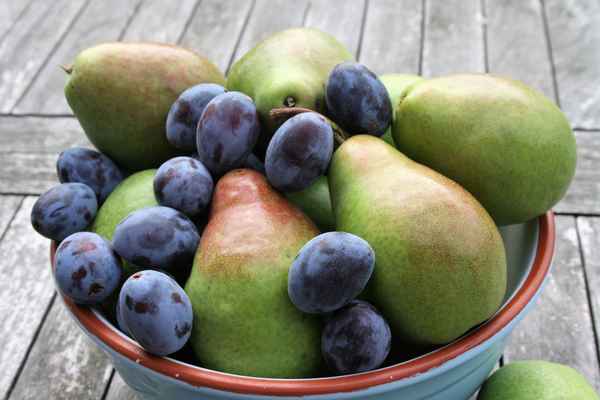 Leckeres Obst
