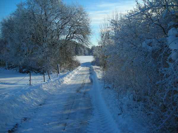 Winter