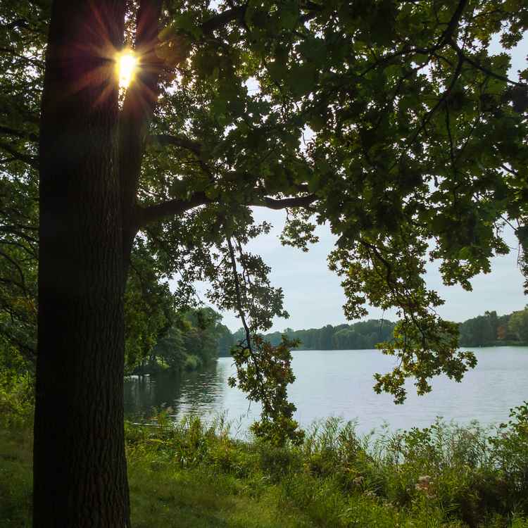 Am See