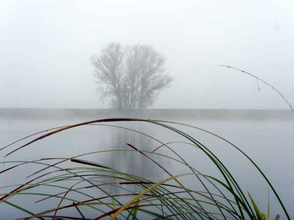 Herbstmorgen im Landschaftsschutzgebiet Mittleres Elbtal  II