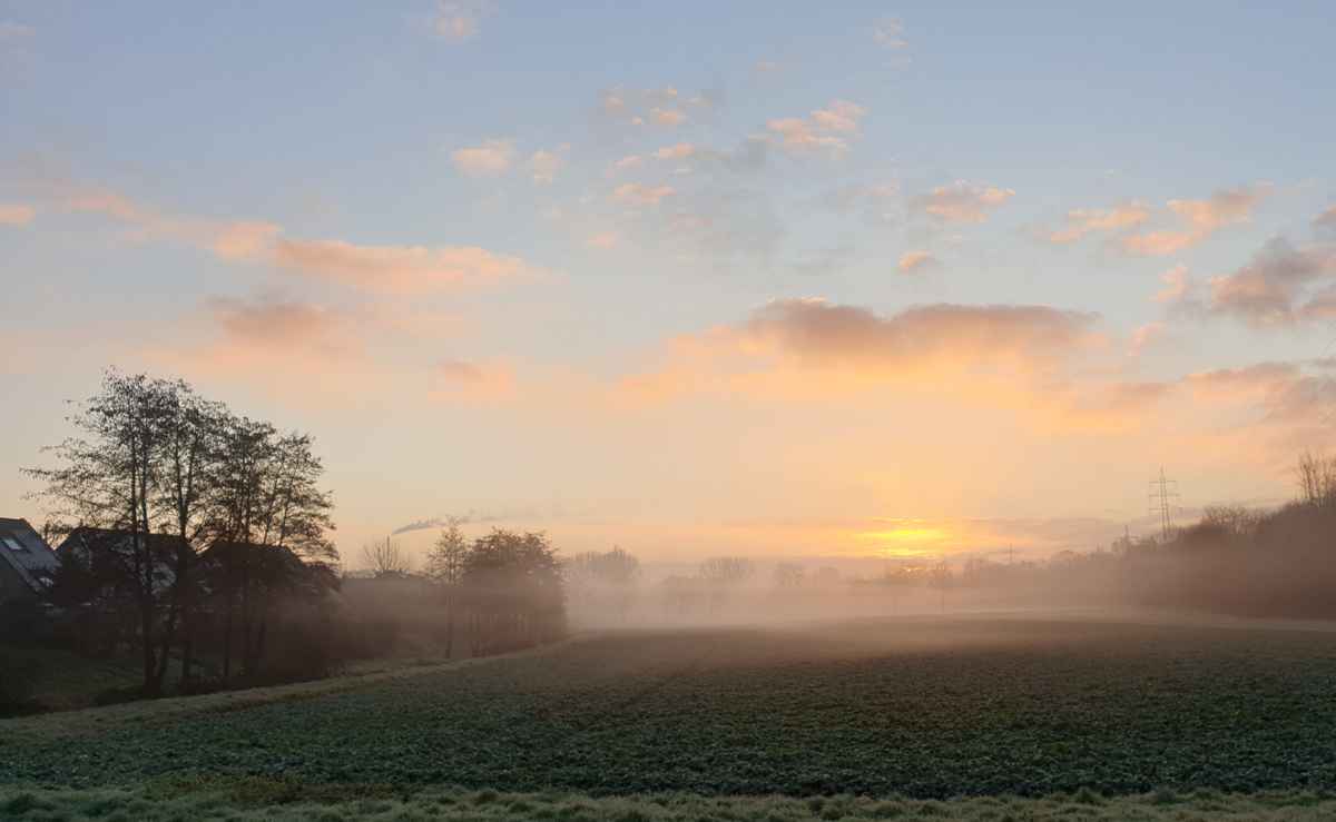 Ein nebeliger Morgen