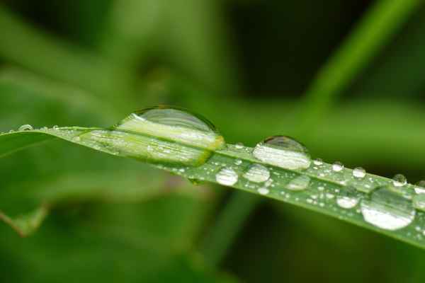 auch Wasser hat eine Haut...